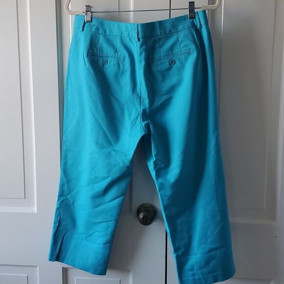 ZAC & RACHEL ZIP UP AQUA BLUE TURQUOISE CAPRI CROPPED PANTS SIZE 8 COTTON - Picture 5 of 9
